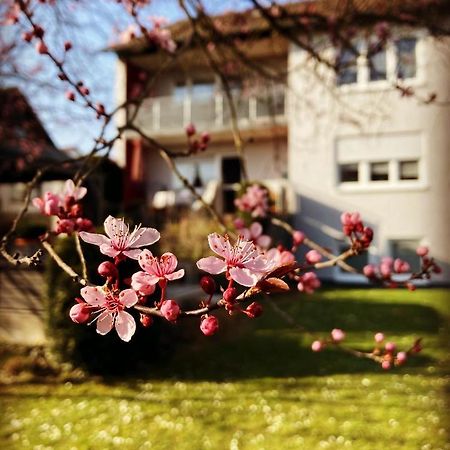 Ferienwohnung Im Aalbachtal - Uettingen Bei Wuerzburg Екстериор снимка