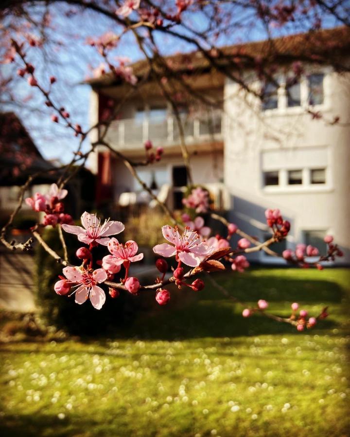 Ferienwohnung Im Aalbachtal - Uettingen Bei Wuerzburg Екстериор снимка